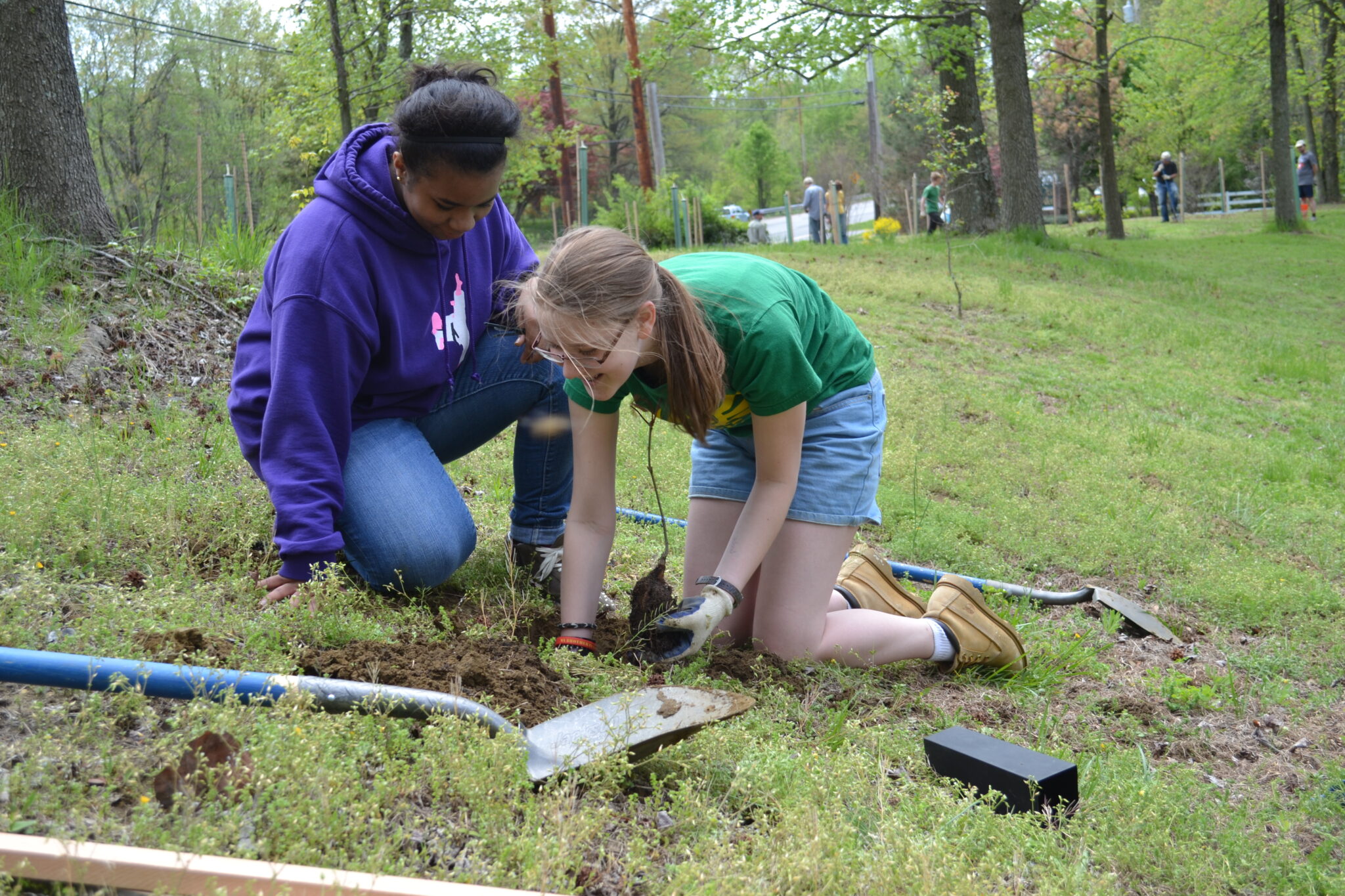 Plant "Trees for Tomorrow" this October! Alliance for the Chesapeake Bay