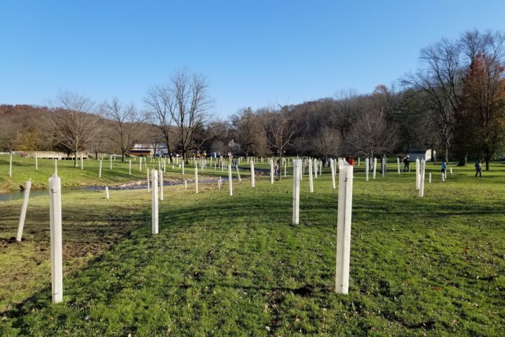 Tree Planting from the Christiana Boro