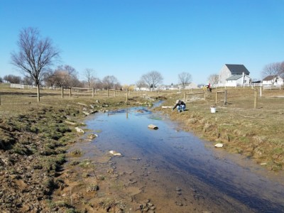 Jenna Mackley, Alliance for the Chesapeake Bay PA Program Coordinator, plants live stakes along a stream in Lancaster County.