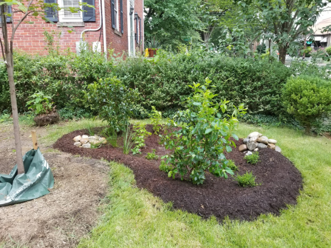 RiverSmart Rain Garden