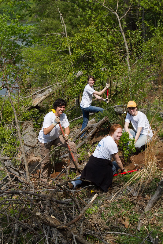 4 volunteers in the field 