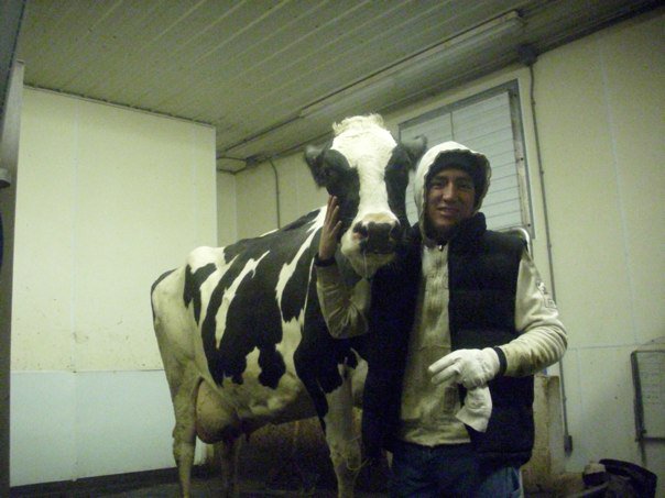 Alliance Staff Member, Mauricio Rosales, is pictured with his favorite cow when he worked directly with the cows on a dairy farm years ago.