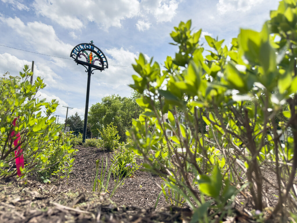 A stained glass piece of art that says, "Fulton Hill" on an iron post installed amongst rain garden vegetation.