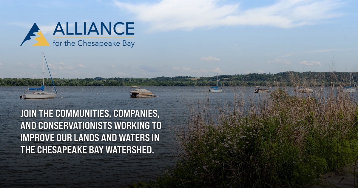 Alliance for the Chesapeake Bay