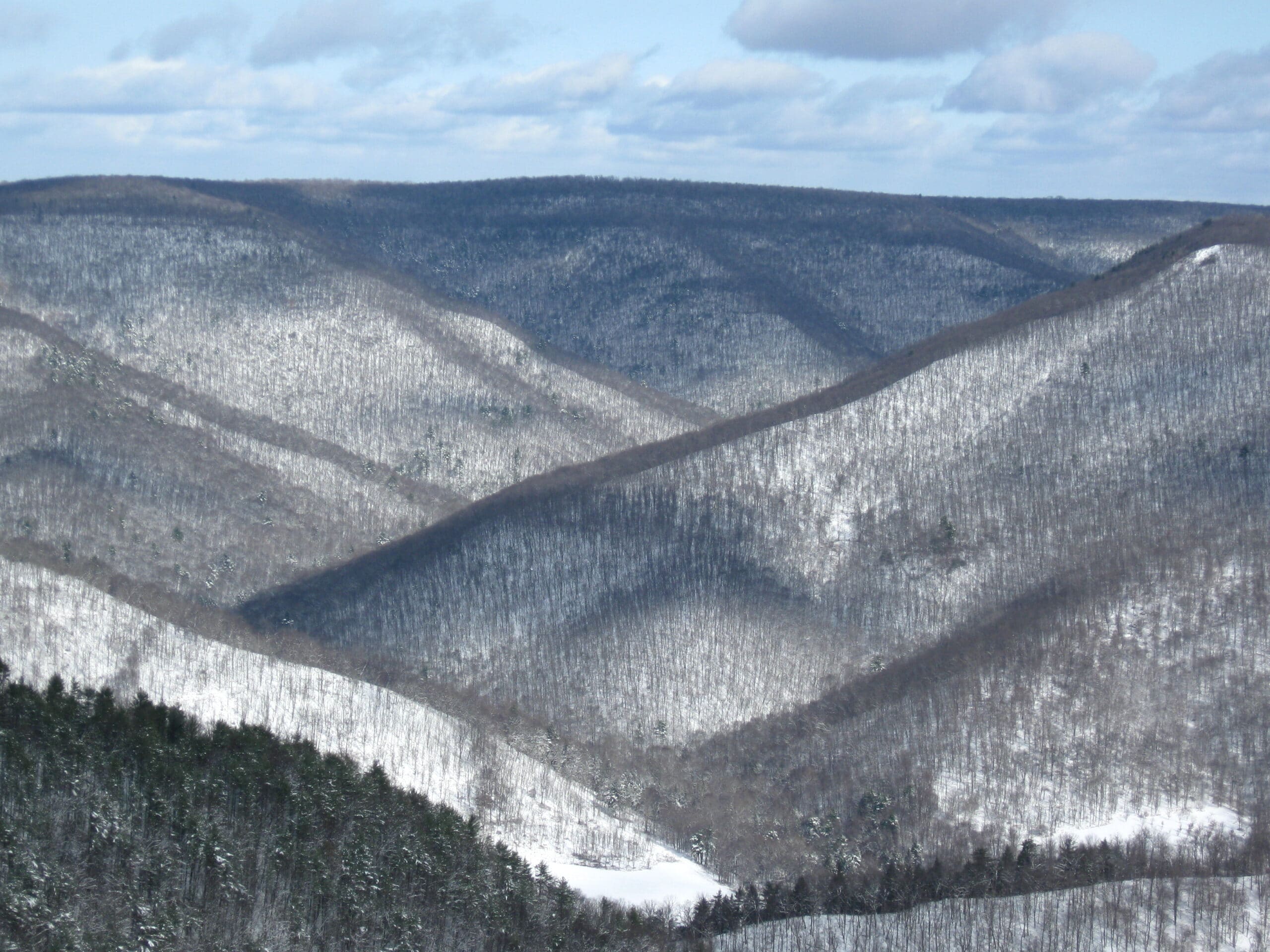 Winter in the Forests of the Chesapeake Alliance for the Chesapeake Bay