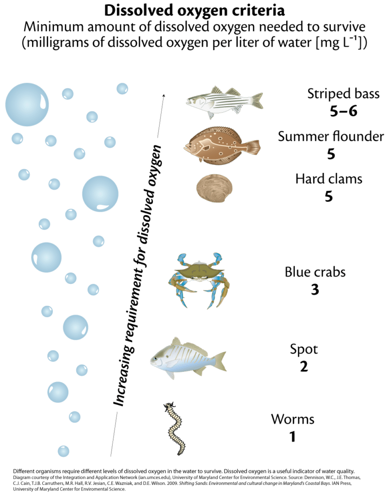 50 Stories What is Water Quality? Alliance for the Chesapeake Bay