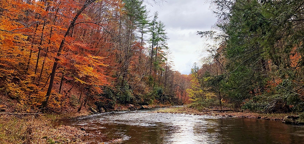 A photography of beautiful fall foliage in Pennsylvania
