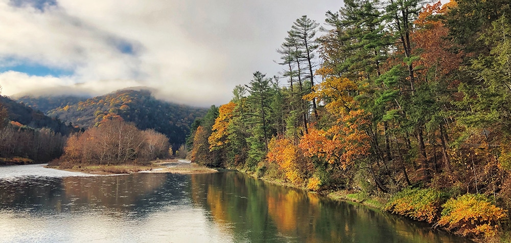 A photograph of colorful foliage along Pine Creek in Cedar Run, PA. 