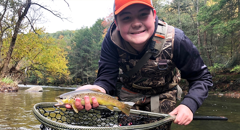 Wild brown trout photograph