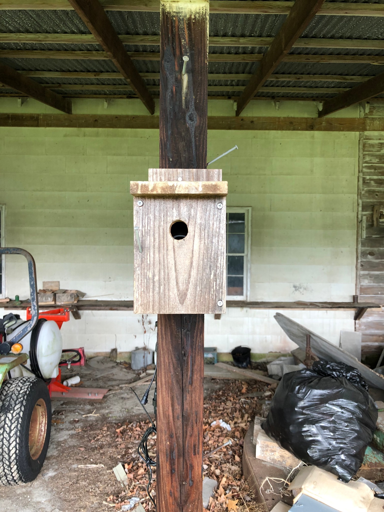 Bird Nesting Boxes on Camera! - Alliance for the Chesapeake Bay