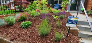 A garden and a sign that reads "Clean Water Starts Here"