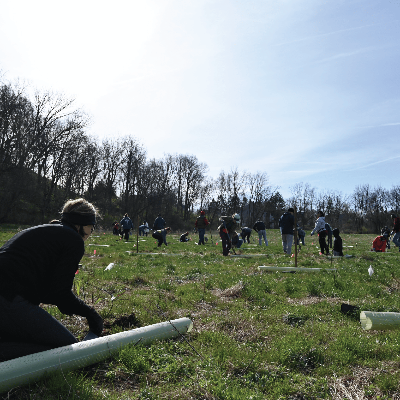 2022 Volunteer Tree Planting Relay Alliance for the Chesapeake Bay