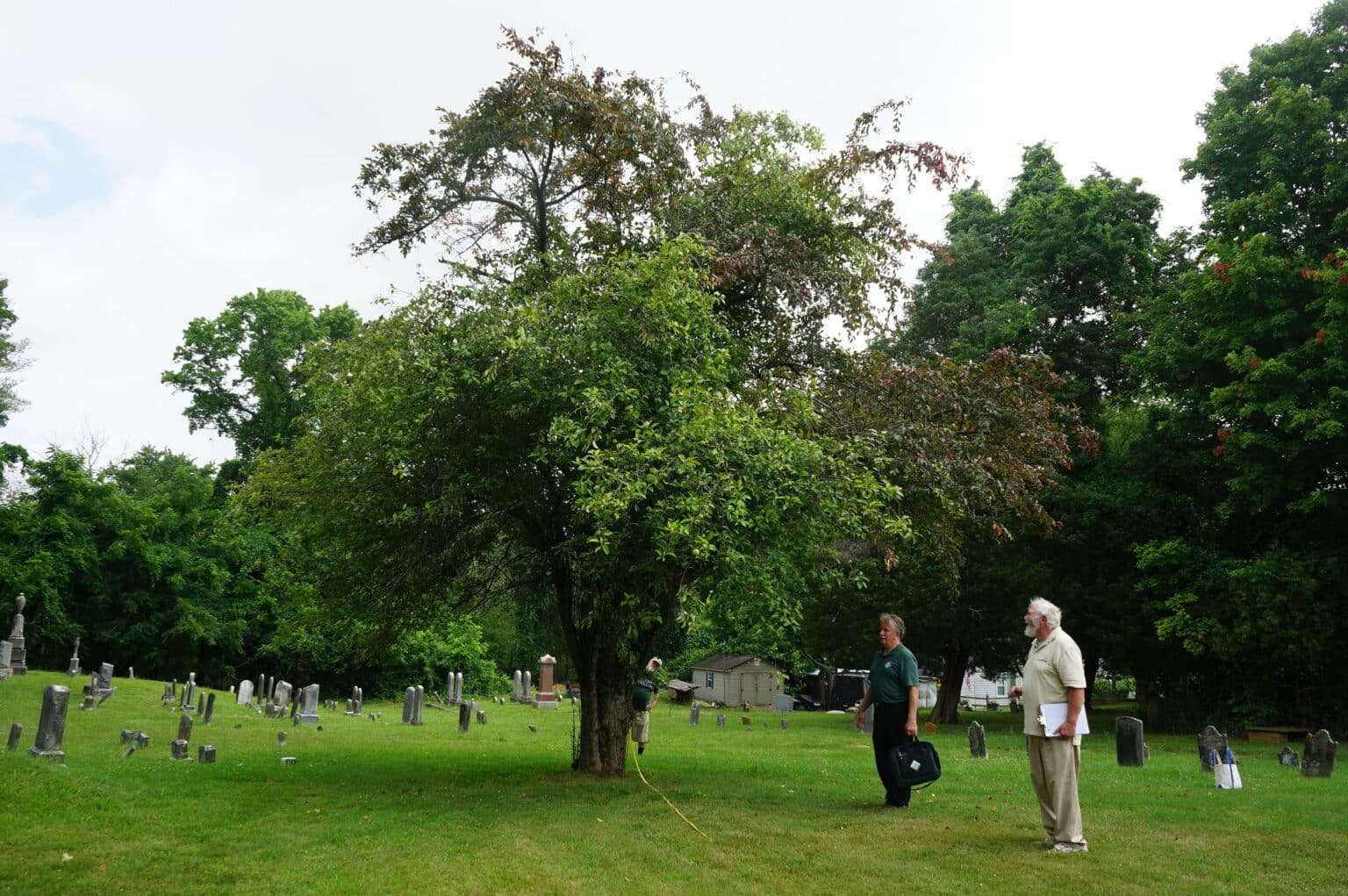 Champion Trees of Harford County Alliance for the Chesapeake Bay