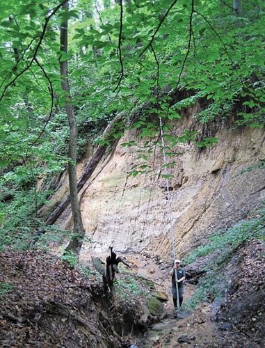 alger park stream site pre-restoration