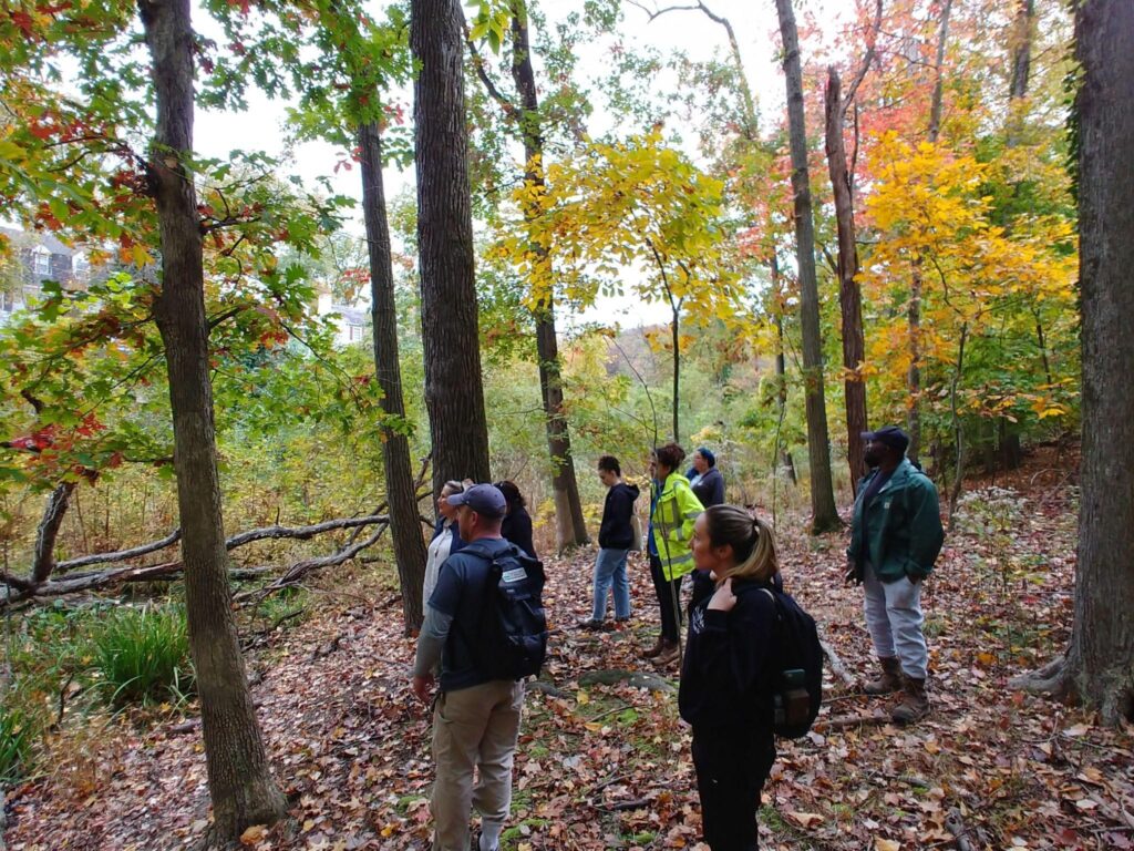 alger park restoration project