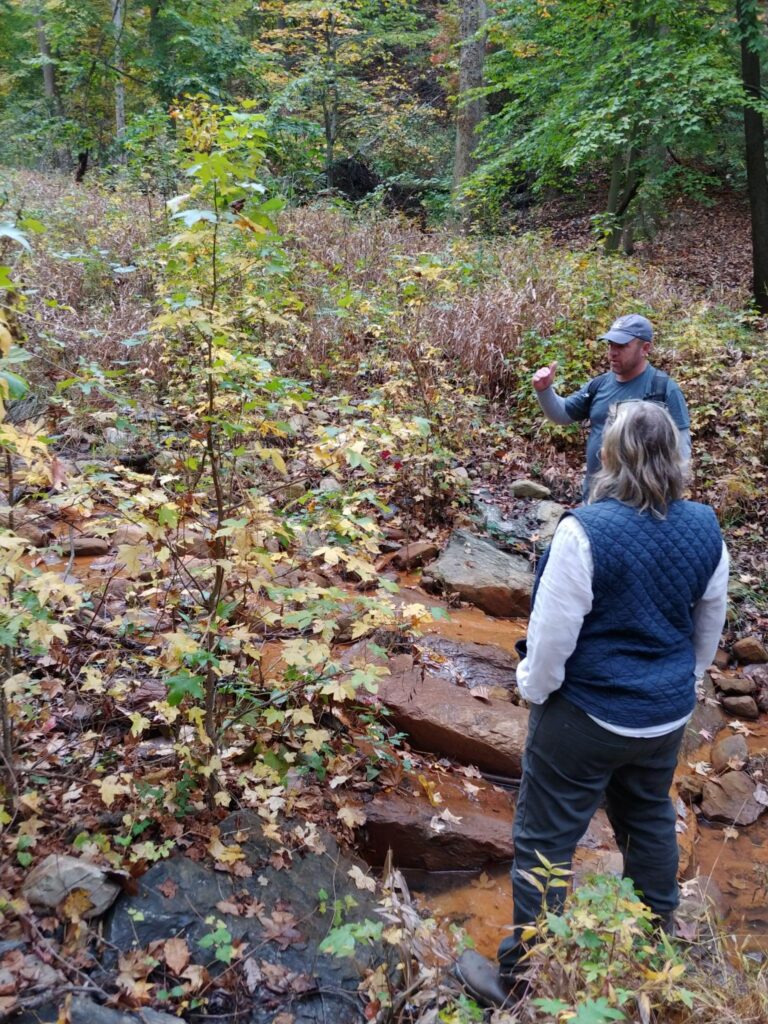 alger park restoration project