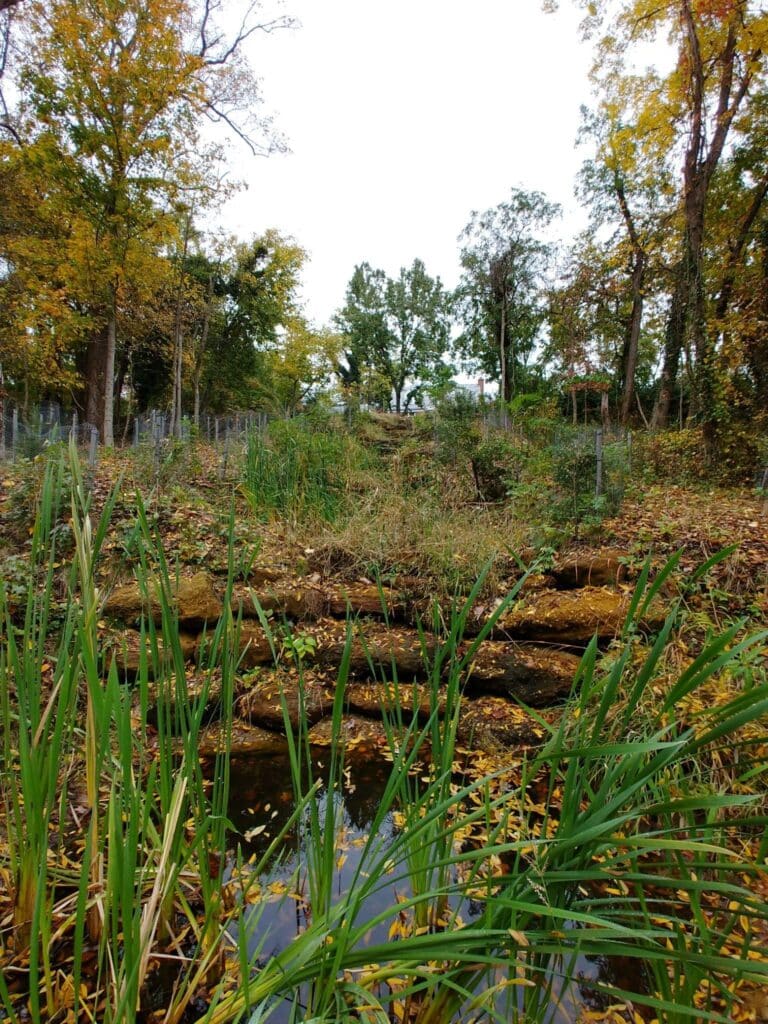 newly constructed stream restoration project at branch avenue