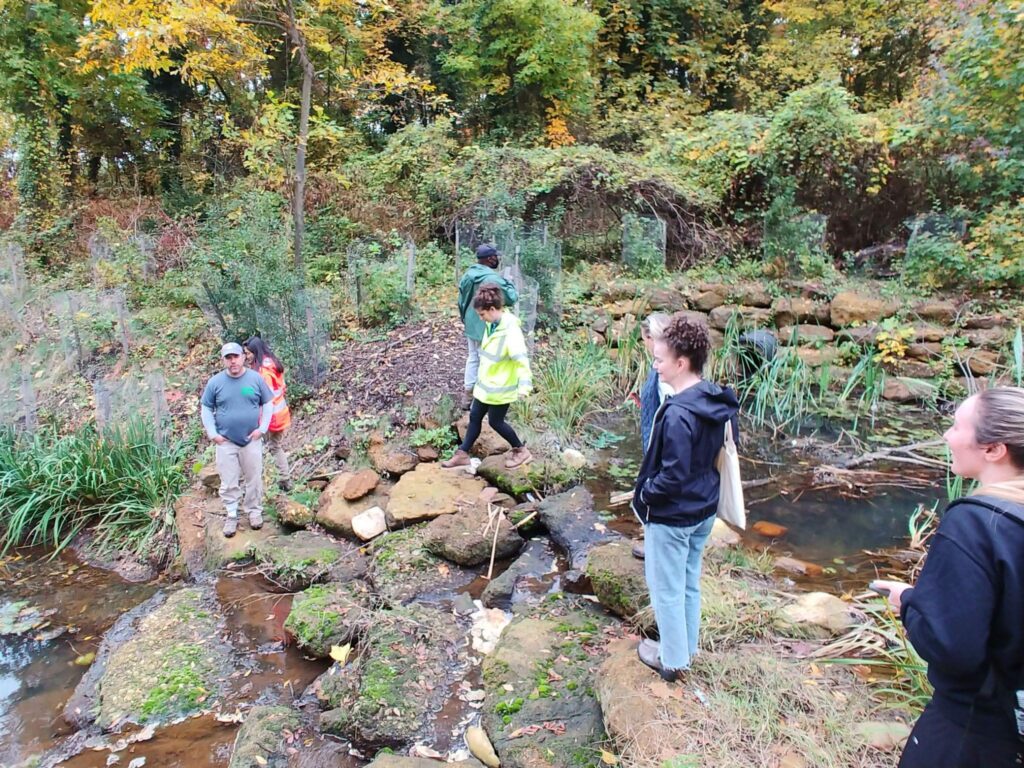 newly constructed stream restoration project at branch avenue