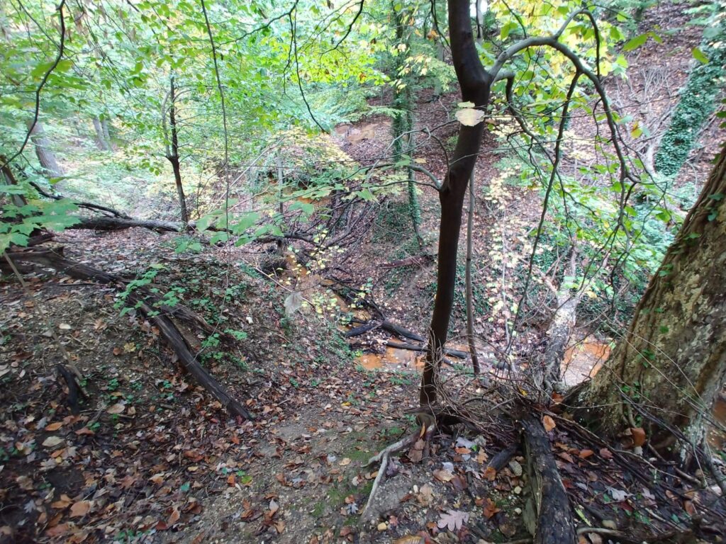 park drive stream project in pre-restoration phase