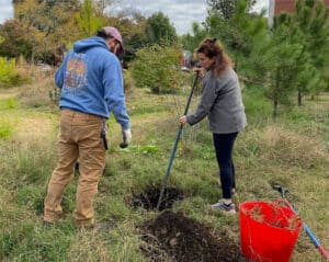 Two people preparing to plant a tree