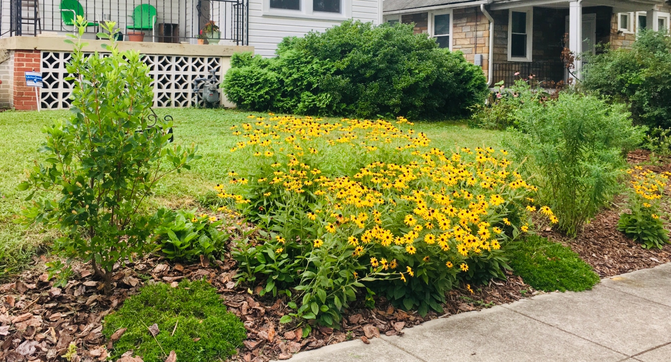 Spring Garden Care Tips Alliance for the Chesapeake Bay