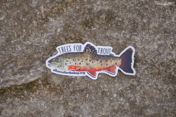 Sticker Collection - Image 2