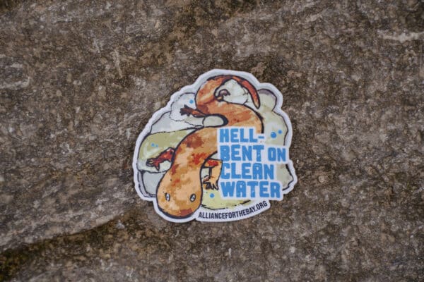 Sticker Collection - Image 4