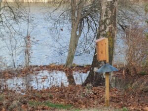 A wood duck box next to a river