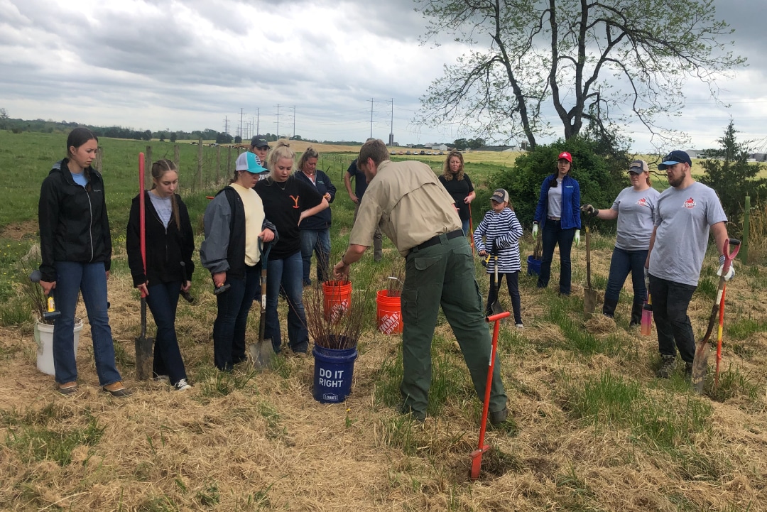 Collaborative Volunteer Plantings Kick Start Conservation Projects on ...
