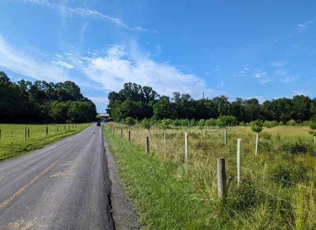 View of a riparian forest buffer from a Lancaster County back road.