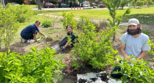 A small group of people gardening on a sunny day.