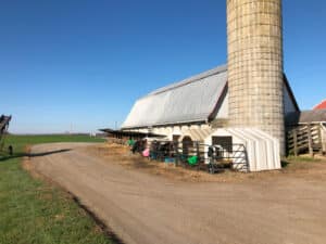 A barn and silo with a clear, sunny sky behind it.