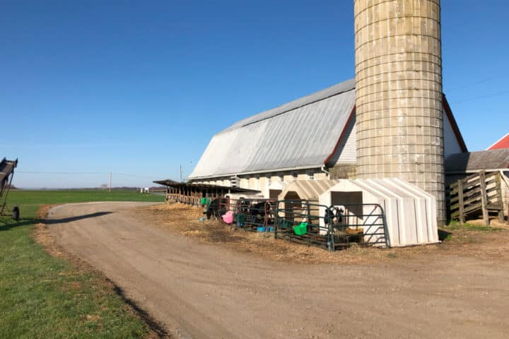 A barn and silo with a clear, sunny sky behind it.
