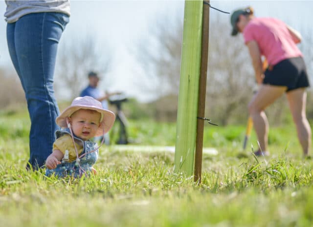 A baby sitting next to a newly planted tree