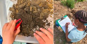 Left: a close up of a student with tweezers and a container of soil, right: a student with a clipboard