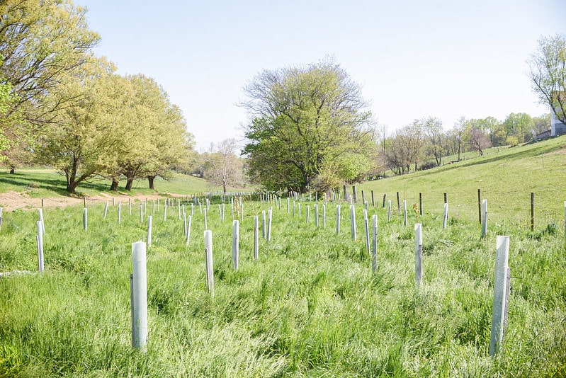 New 2.7 acre buffer with exclusion fencing