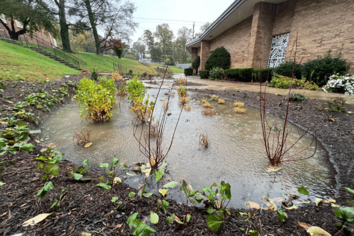 Rain garden filled with water during a rain storm.