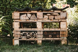 A structure of pallets, wood and pinecones