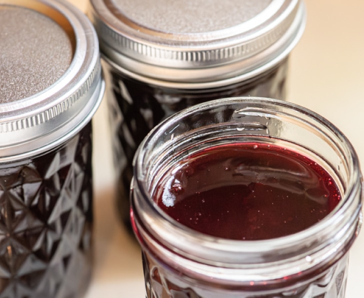 Native Plant Recipe Black Chokeberry Jelly Alliance for the