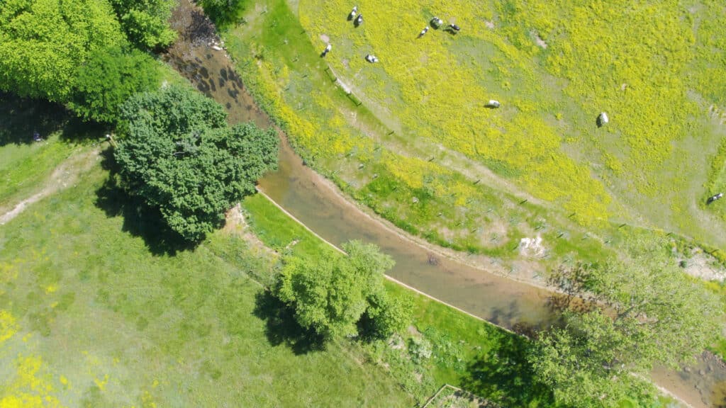 Drones & Dairy - A Farm Transformation - Alliance for the Chesapeake Bay
