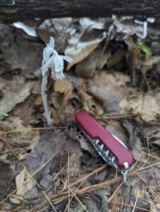 Red pocket knife laying next to ghost pipe fungus on the forest floor to compare size.