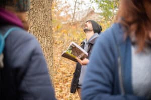 A person looking up at a tree to identify the species