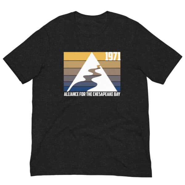 Retro Logo T-Shirt