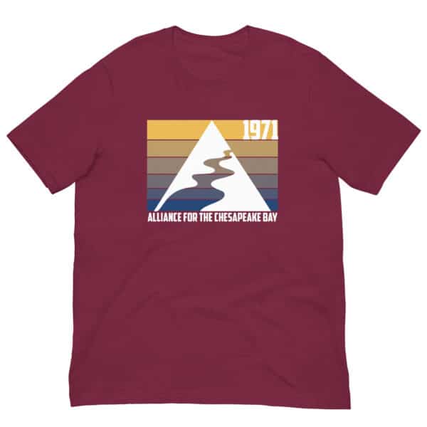 Retro Logo T-Shirt - Image 4