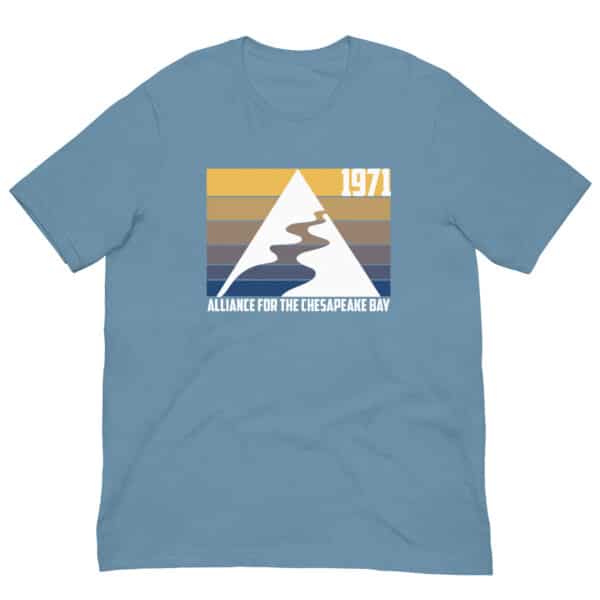 Retro Logo T-Shirt - Image 5