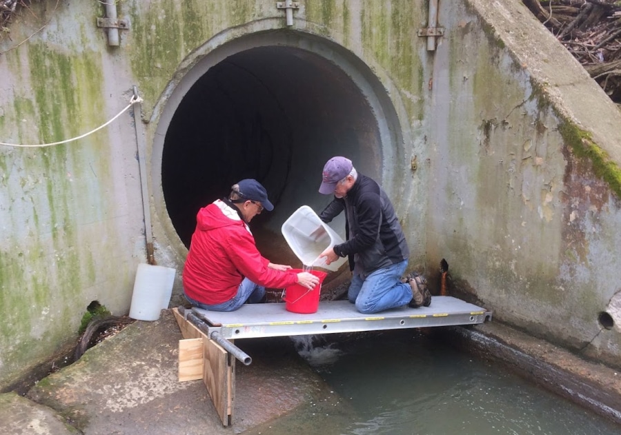 Two people sitting at the opening of a drainage pipe, sampling water