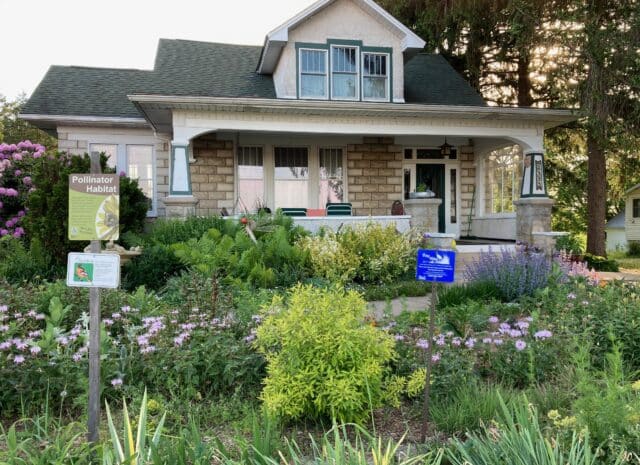A garden in front of house