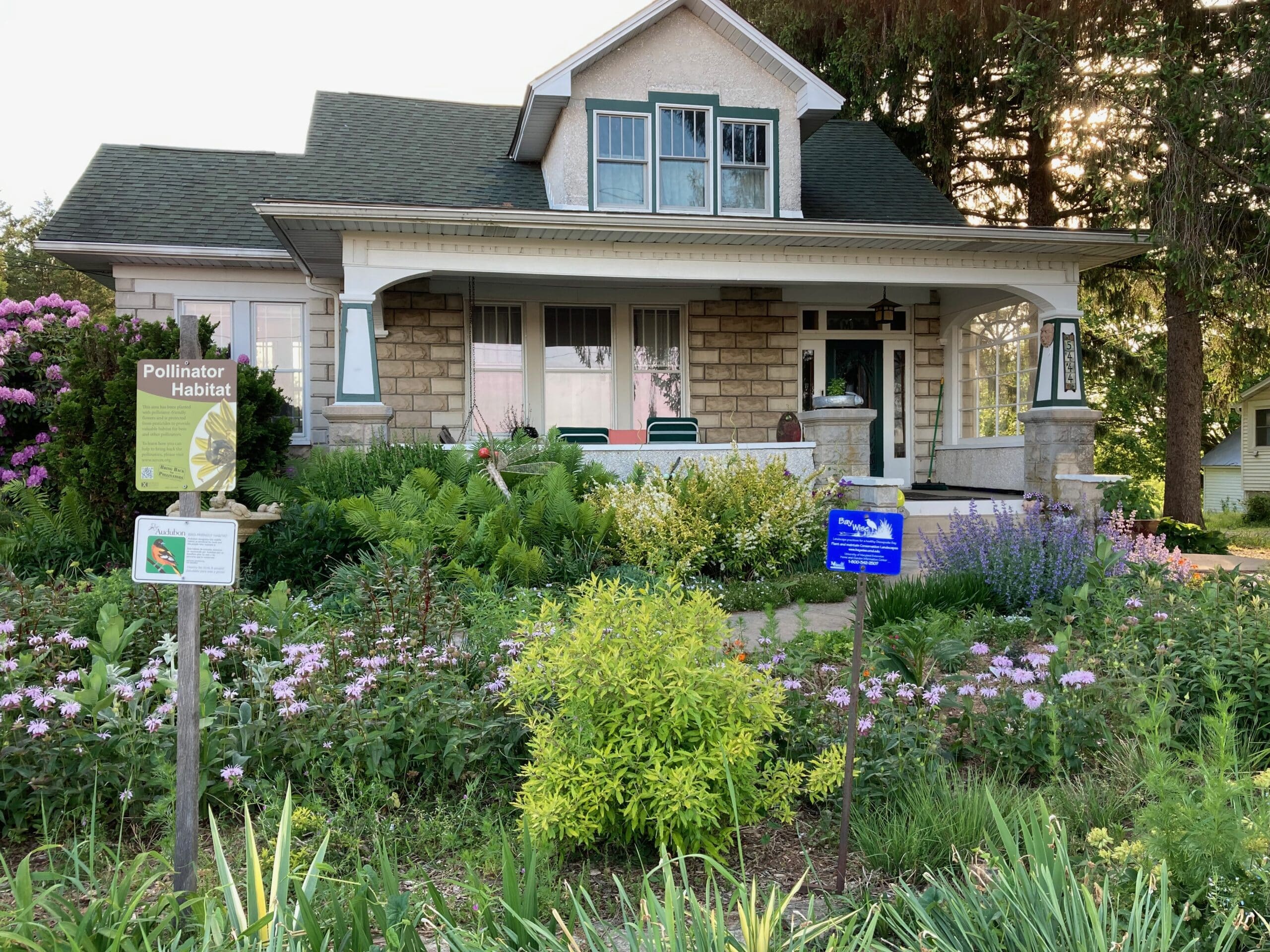 A garden in front of house