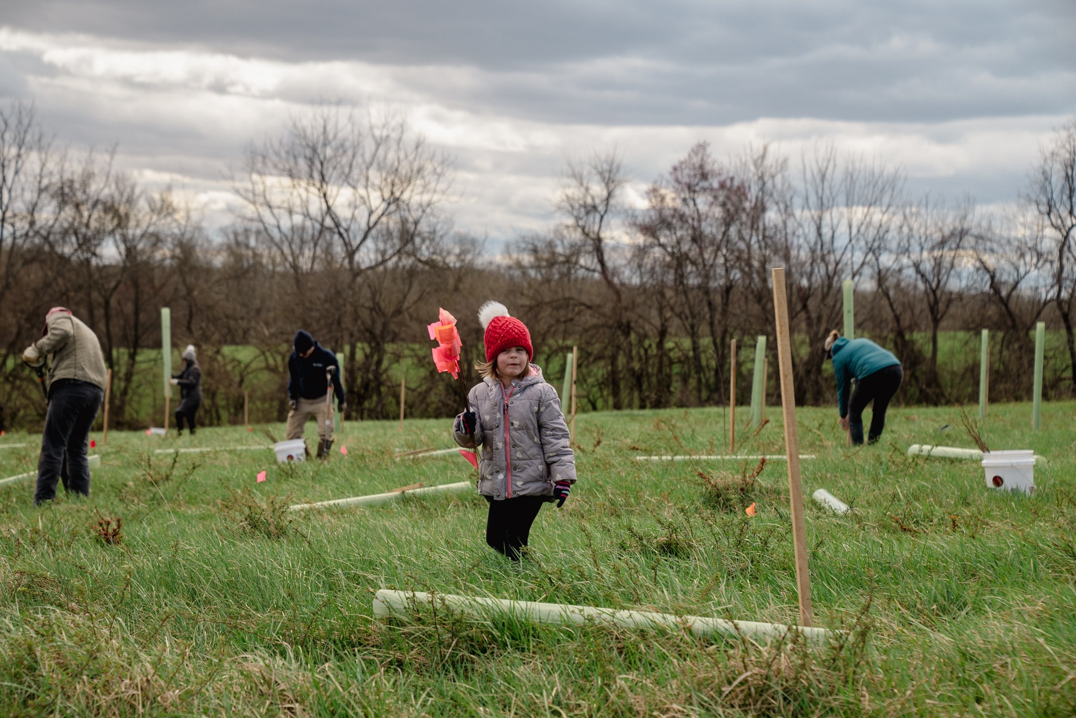 A child with a handful of flags used to mark tree planting locations