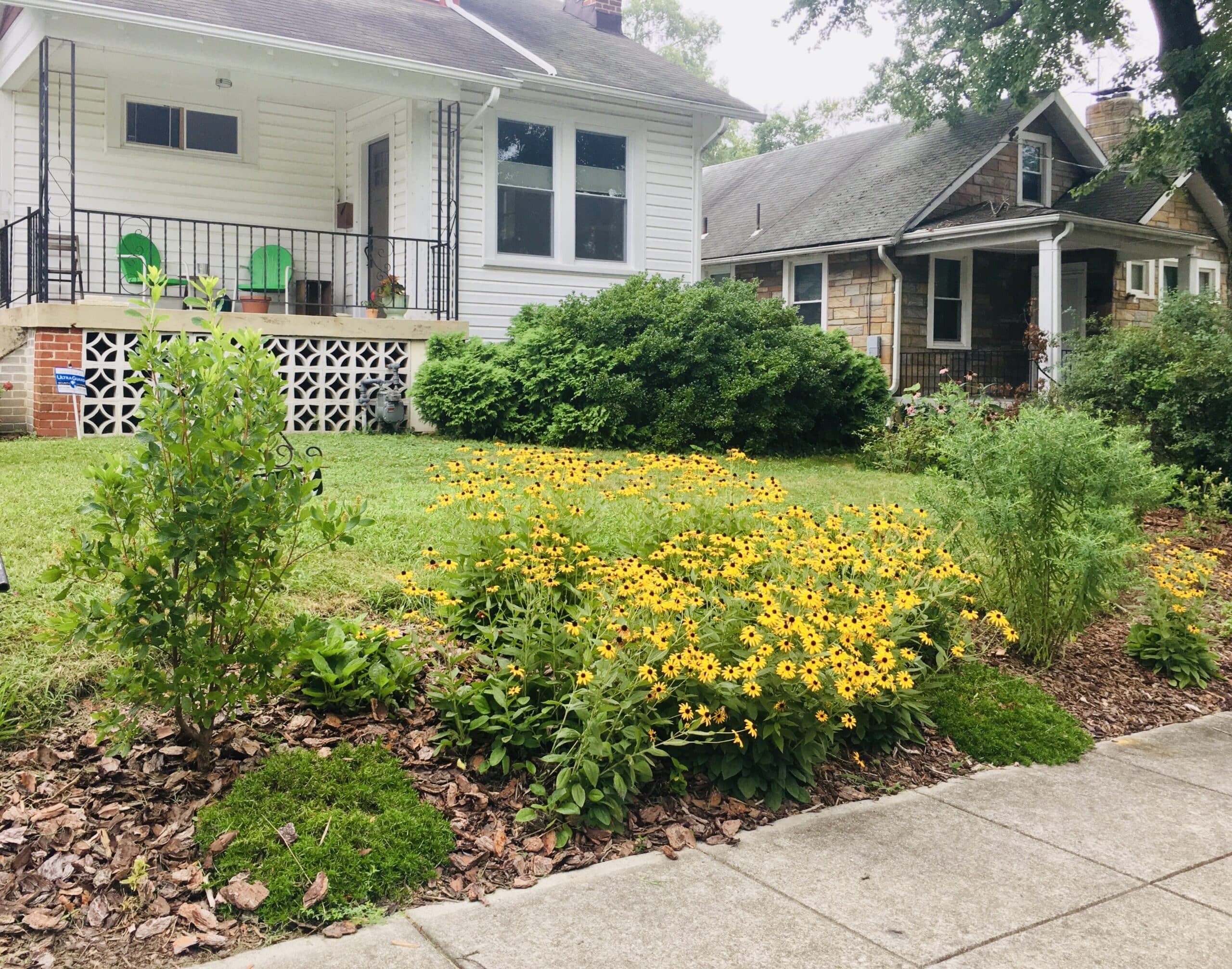 A garden near the sidewalk in front of a house on a sunny day